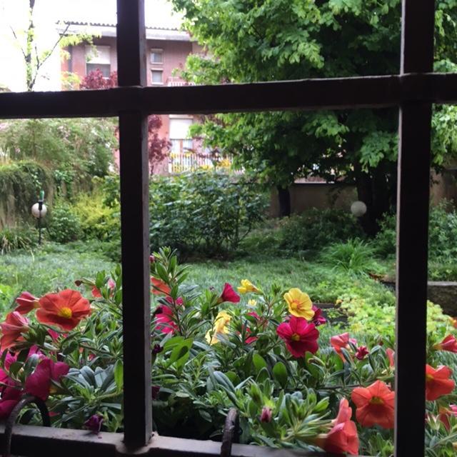 Cosy Studio Historical Center Cremona Ngoại thất bức ảnh